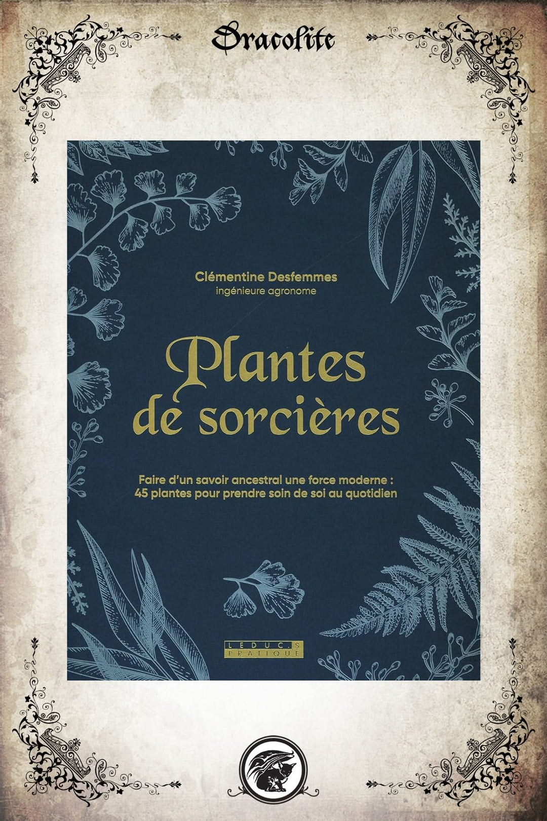 Plantes de Sorcières