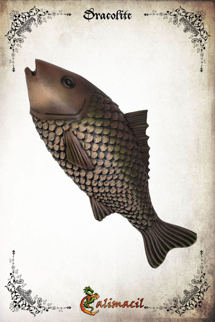Fish - Catch of the Day