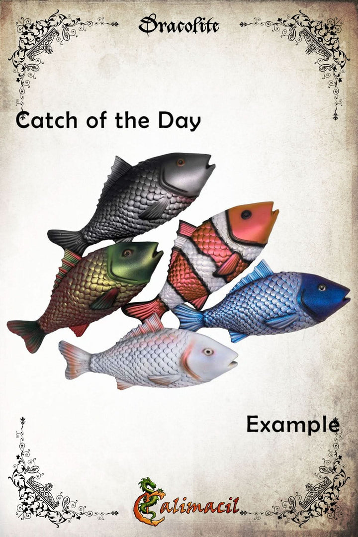 Fish - Catch of the Day
