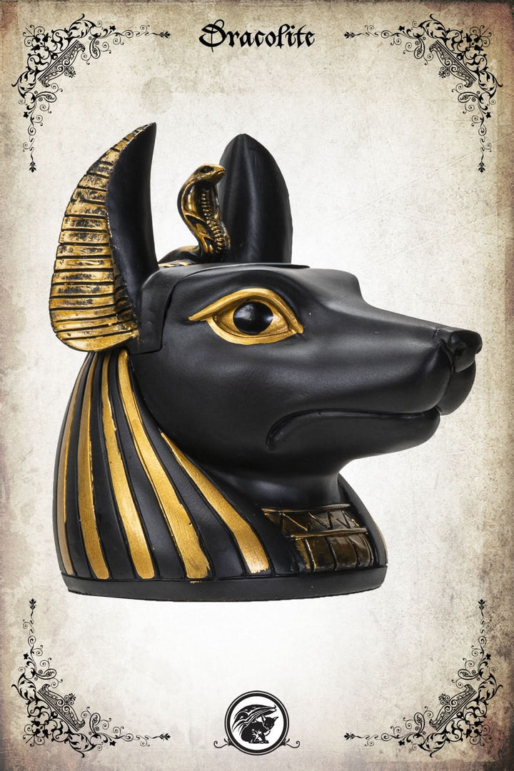 Anubis Box