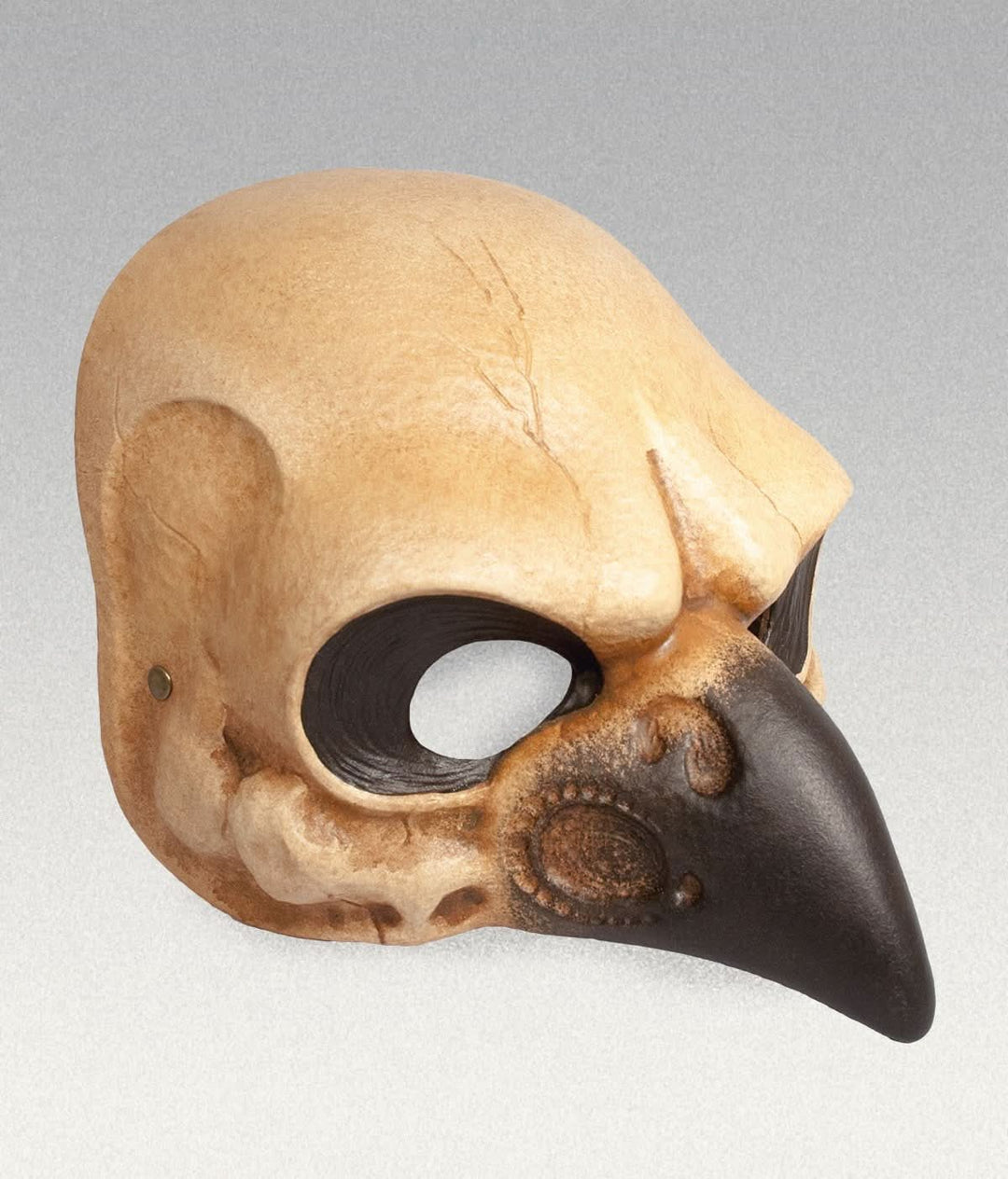 Bird Skull Mask