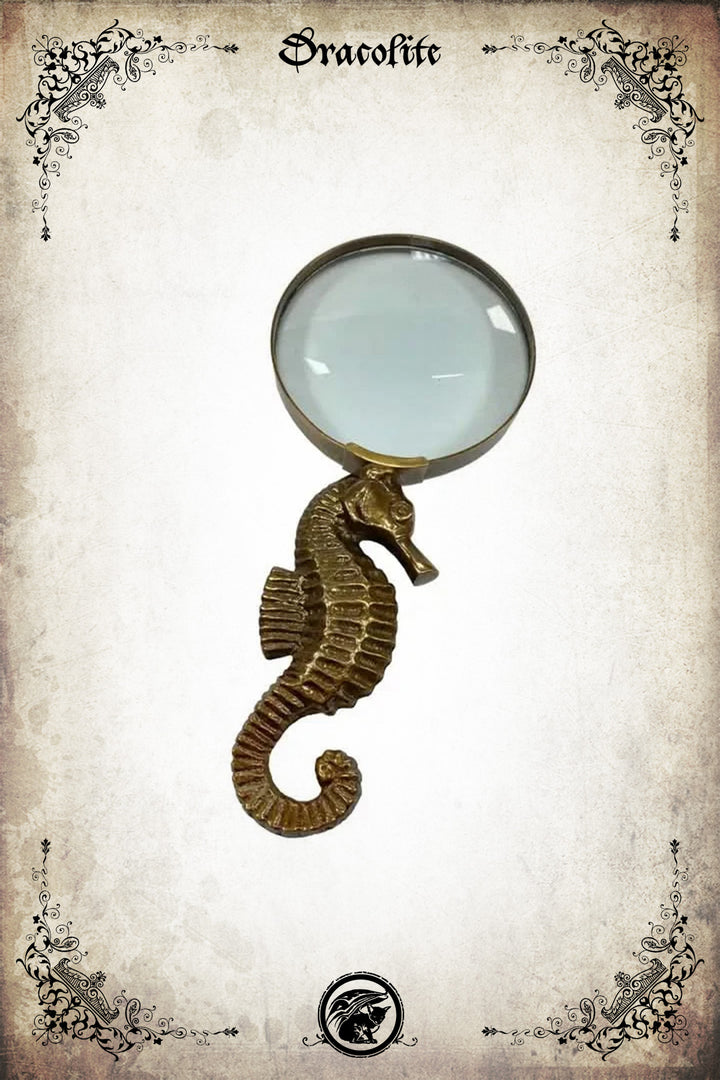Loupe hippocampe – clin d’œil à Bicolline