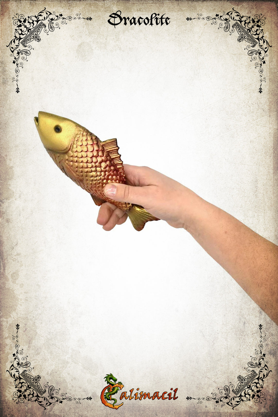 Fish - Catch of the Day