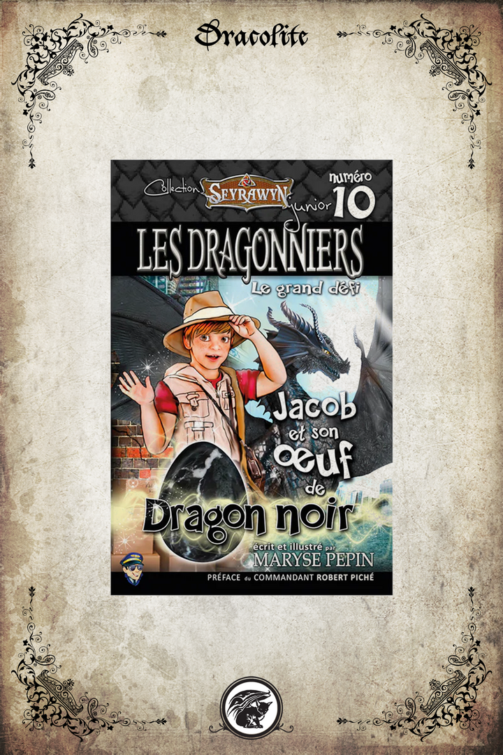 The Dragon Riders (series for children 1 to 10)